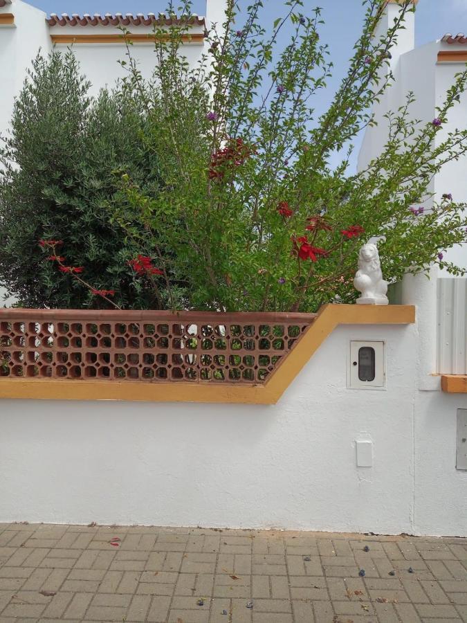 Casa Malaquias Apartment Santo Andre Bagian luar foto